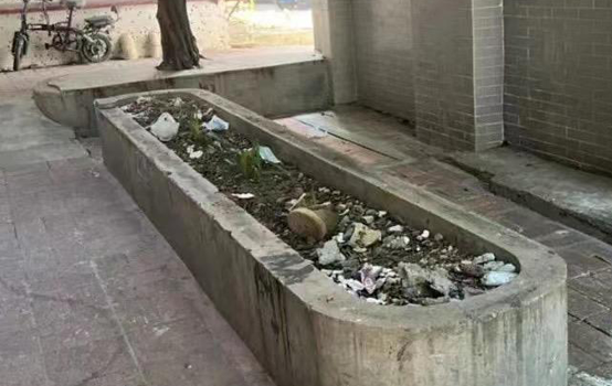 花壇原本如同垃圾崗